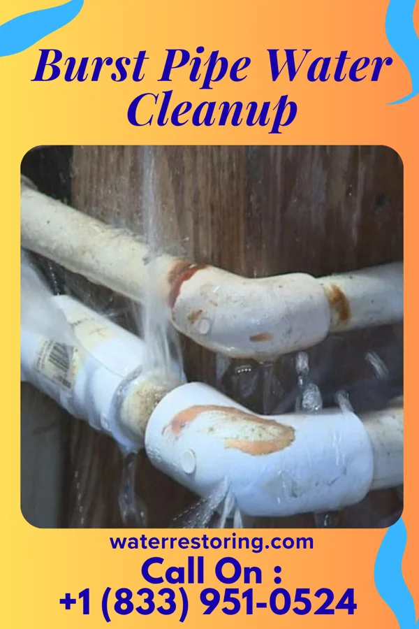 Burst Pipe Water Cleanup in Meeker, CO