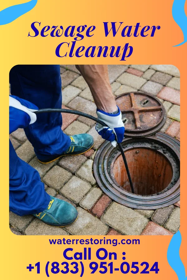 Sewage Water Cleanup in Meeker, CO
